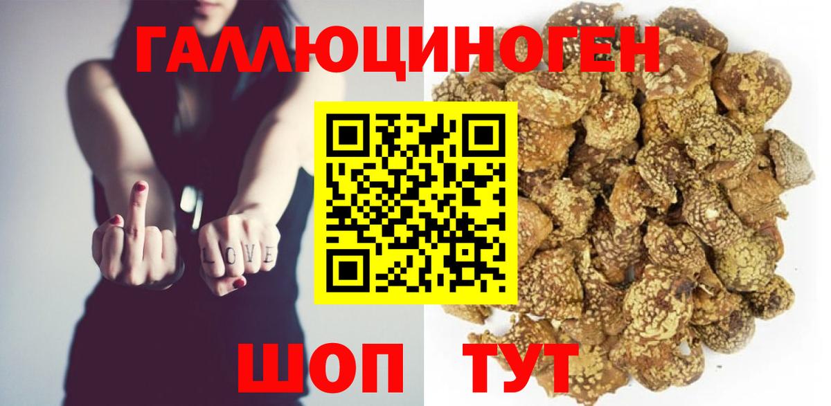 Карачаевск  Псилоцибиновые грибы мухоморы  Вход с VPN  Псилоцибиновые грибы мухоморы 